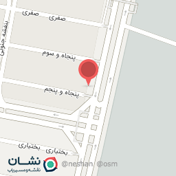 عکس گروه آسانسور پایتخت