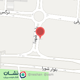 عکس اتوسرویس علیرضا لایق