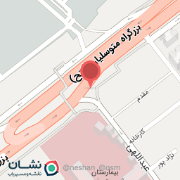 عکس پیتزا سبحانی