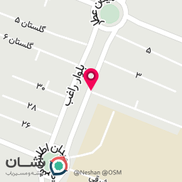 عکس اتو سرویس بهمن