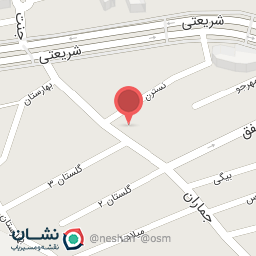 عکس تزئینات اتومبیل آس