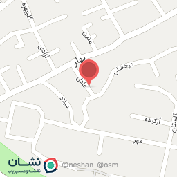 عکس دکتر محبوبه فردوسی