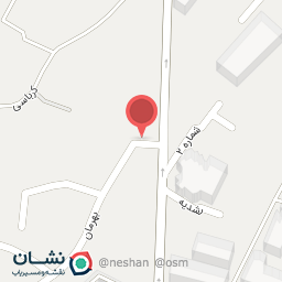 عکس کیف و کفش صوفیا