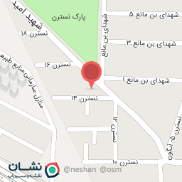 عکس فست فود بانو