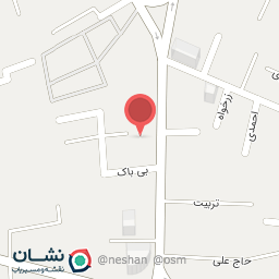 عکس کفش شقایق