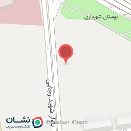 عکس صافکاری برادران رضایی