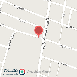 عکس فست فود عزیزجون