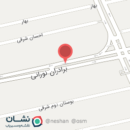 عکس دکتر شهزاد محمدیان