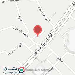 عکس کیف وکفش پولیدو