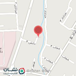 عکس دکتر شیوا لطفی