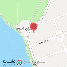 عکس پیتزا مکث