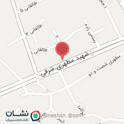 عکس فست فود آقای خاص