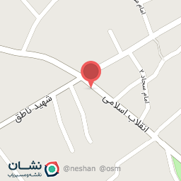 عکس کفش پارس