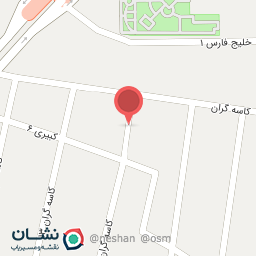 عکس کفش ۵ انگشتی