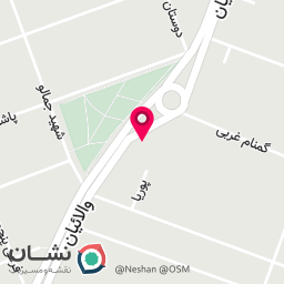 عکس الکترو بازیکیان