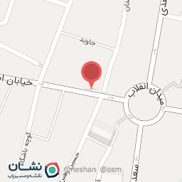 عکس گروه ورزشی پانیذ