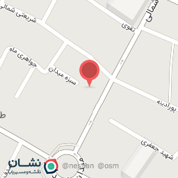 عکس فرش و موکت احسان 