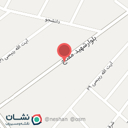 عکس کفش امید