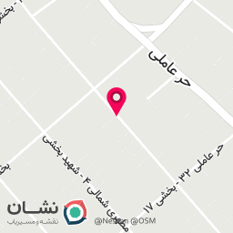 عکس کفش تک گل