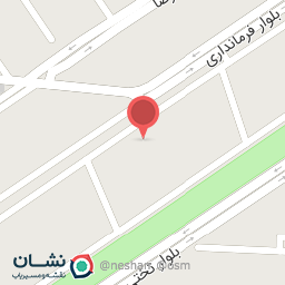 عکس فست فود آلونک