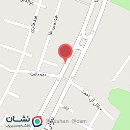 عکس اتو سرویس حسین