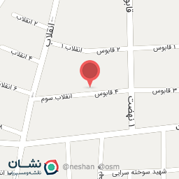 عکس موسسه زبان میزبان