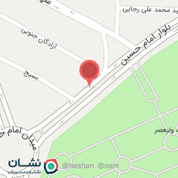 عکس تهیه غذای پارسا