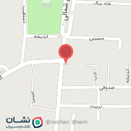 عکس کیف و کفش پارمیدا