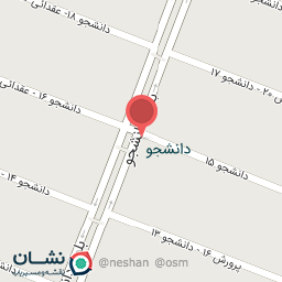 عکس کیف و کفش آلتون