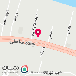 عکس برگر زغالی دادا