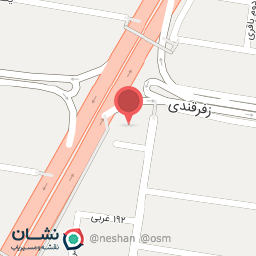 عکس پیتزا تنوری آرش