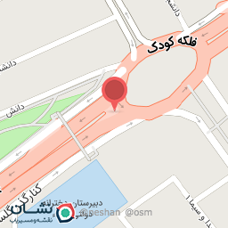 عکس هایپر گوشت سادات