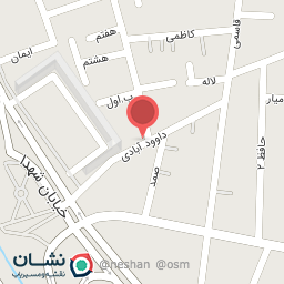 عکس پلاستیک صادقی