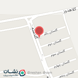 عکس سوپر میوه سعید