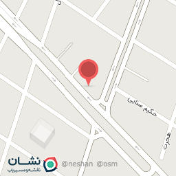 عکس دزدگیر و کف پوش اتومبیل