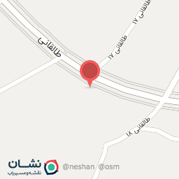 عکس نخل و نارنج