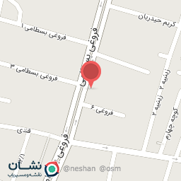 عکس کیف وکفش میلاد 3
