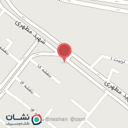 عکس فرش و موکت پازیریک