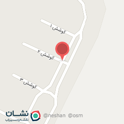 عکس بوستر ترمزسازی شایان