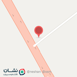 عکس سرو نقره ای