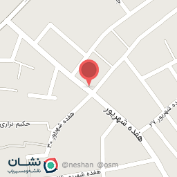 عکس کفش پاپا