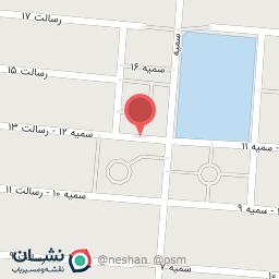 عکس چلوکباب ناوک