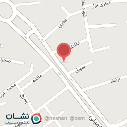 عکس پیتزا زاپاتا