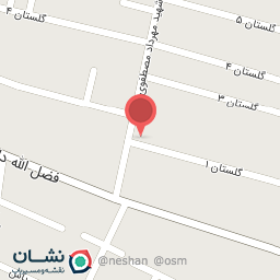 عکس باطریسازی حسن