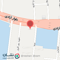 عکس طلعت نور 