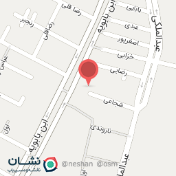 عکس باشگاه رسپینا