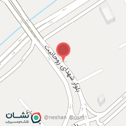 عکس رینگ و لاستیک مستر اسپرت شعبانی