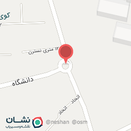 عکس طوطی مراغه ای