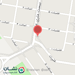 عکس کیف و کفش فاطمیه