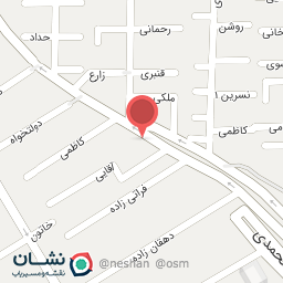 عکس اگزوزسازی